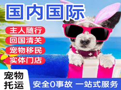 无锡机场邮寄国际宠物托运 【国